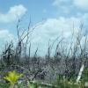 Secteur Costa Maya