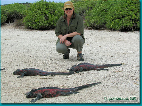 Galapagos (2006)