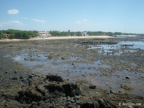 Plage de l'hôtel Marée basse vue à env. 300 mètres de la plage 