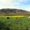 Magnifique paysage d'Islande