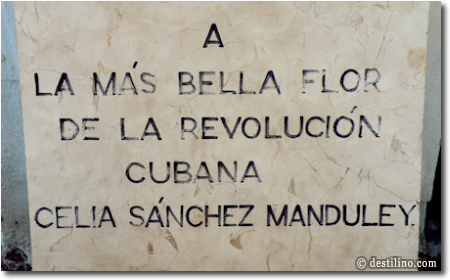 « À la plus belle fleur de la révolution Cubaine »