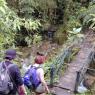 Le camino inca, région au climat mi-andin mi-amazonien 