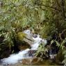 Le camino inca traverse forêts et ruisseaux 