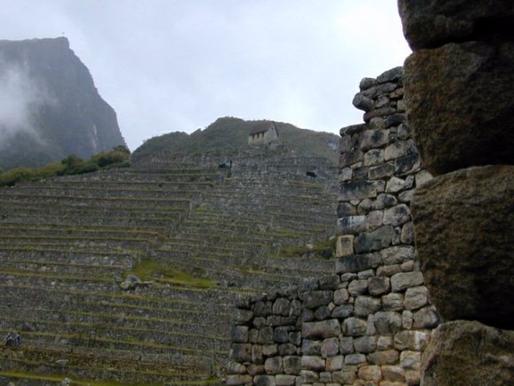 Terrasses d'agriculture de Machu Picchu 
