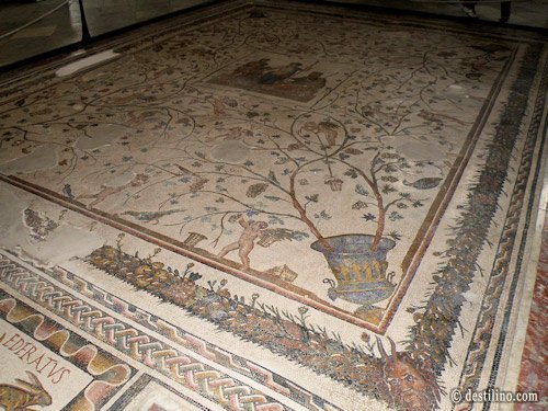Musée Bardo Un « tapis » de mosaiques!