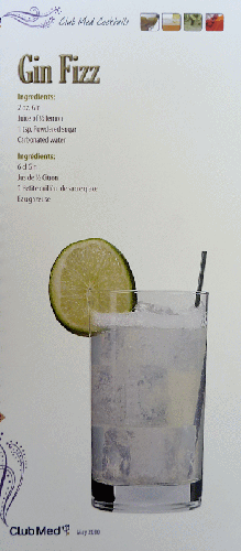 Gin Fizz