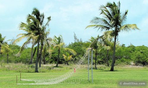 Terrain de soccer