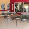 Tables de ping-pong (près de la réception