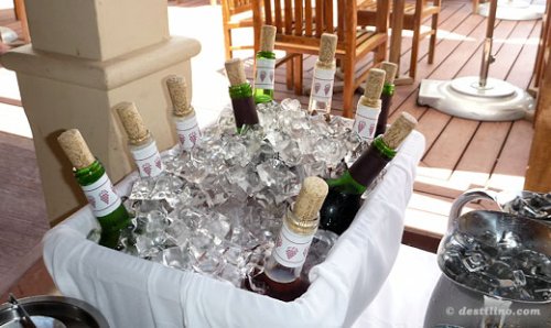 Vins rouge et blanc à volonté