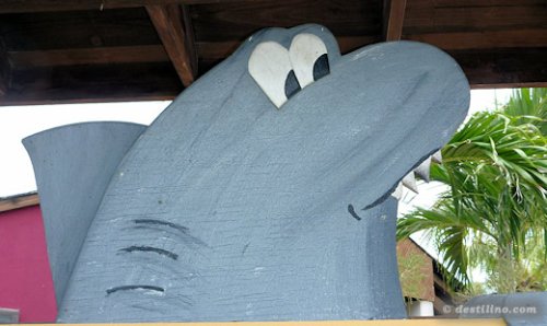 Le Snack bar « Sharkie's »