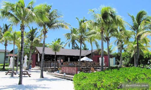 Le Snack bar « Sharkie's »