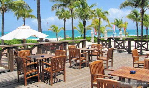 Le Snack bar « Sharkie's »
