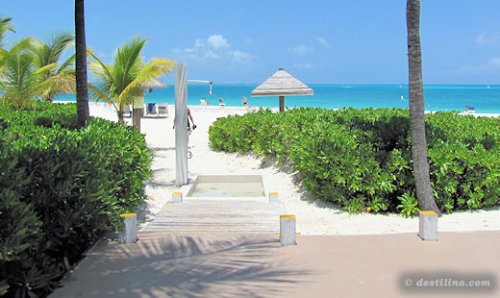 Le Snack bar « Sharkie's », accès de la plage