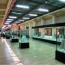 Ankara - Musée des civilisations anatoliennes