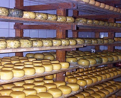 Fabrique de fromage