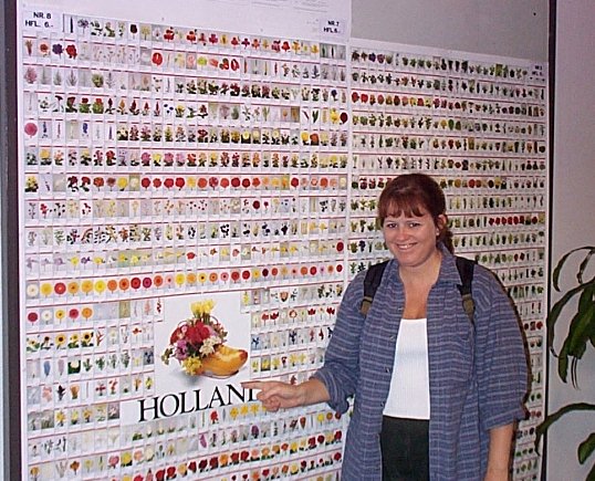 Aalsmeer-Centre de distribution et vente aux ench�res de fleurs-1.jpg - 95.14 K