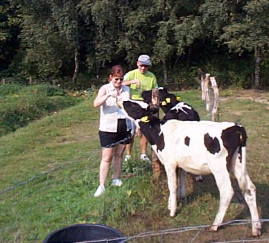 Arnhem-Openluchtmuseum-6.jpg - 46.78 K