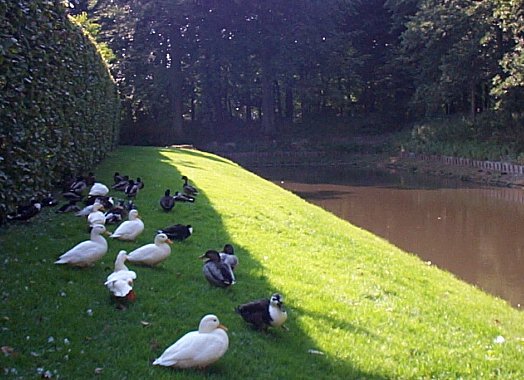 Groningen-Demeure Menkemaborg Uithuizen-2.jpg - 58.29 K