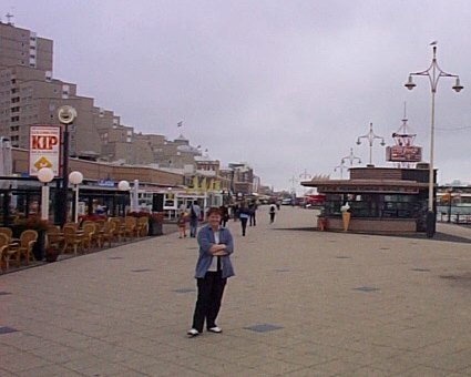 Scheveningen-Promenade le long de la mer.jpg - 29.85 K