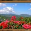Excursion « Bali Mystique »
