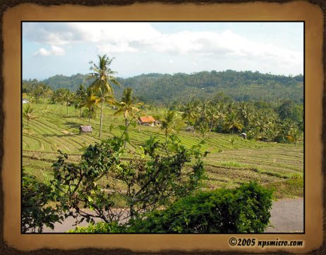 Excursion Bali Mystique (2005)