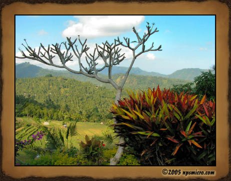 Excursion Bali Mystique (2005)