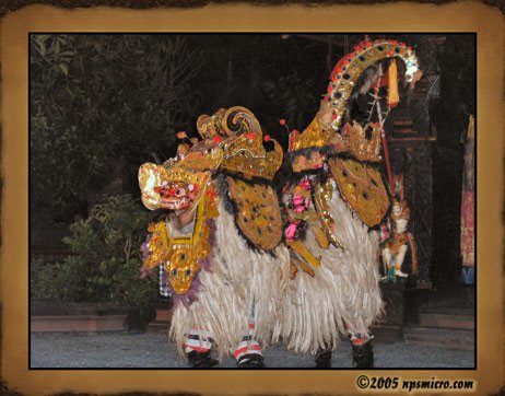 Le dragon Barong. Une bonne coordination des deux danseurs. Pour les Balinais, ce dragon est un bon esprit