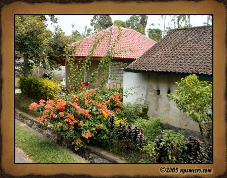 Bali 2005