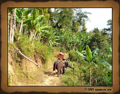 Excursion Kintamani (2005)
