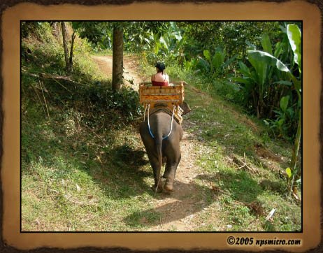 Excursion Kintamani (2005)