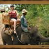 Excursion « Kintamani »
