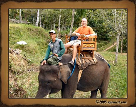 Excursion Kintamani (2005)