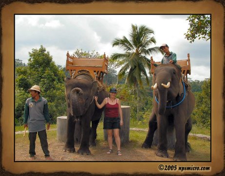 Excursion Kintamani (2005)