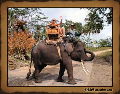 Excursion Kintamani (2005)