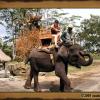 Excursion Kintamani (2005)