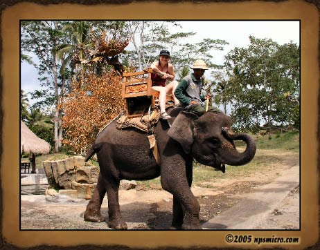 Excursion Kintamani (2005)