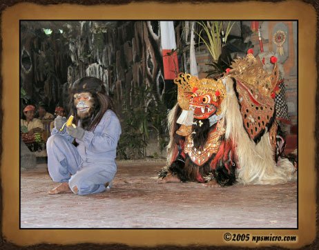Excursion Kintamani (2005)