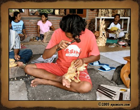 Excursion Kintamani (2005)