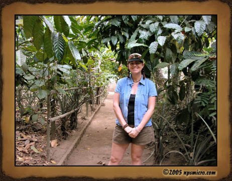 Excursion Kintamani (2005)