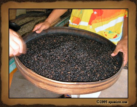 Excursion Kintamani (2005)
