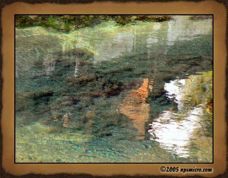 Excursion Kintamani (2005)