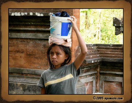 Excursion Kintamani (2005)