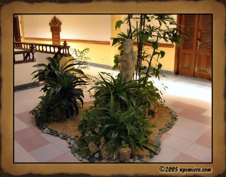Hotel Melia Benoa (2005)
