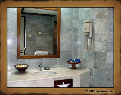 Hotel Melia Benoa (2005)