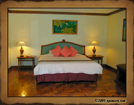 Hotel Melia Benoa (2005)