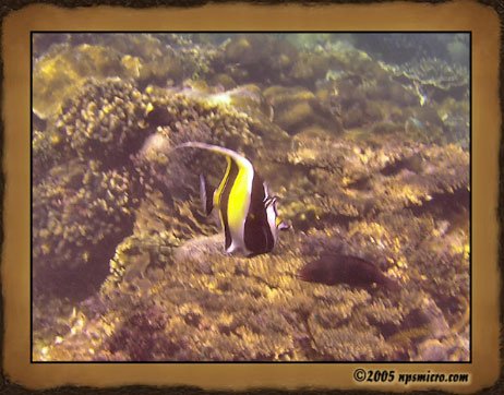 Excursion Nusa Lembongan (2005)