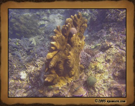 Excursion Nusa Lembongan (2005)