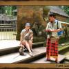 Forêt des singes de Sangeh (2005)