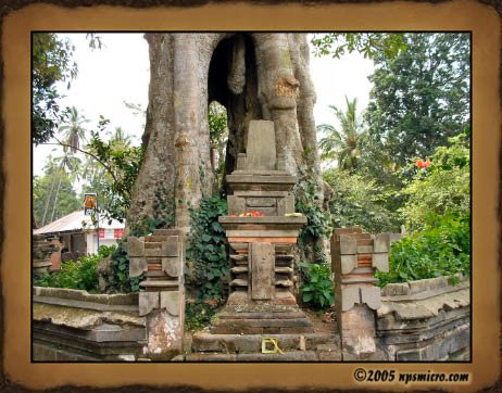 Forêt des singes de Sangeh (2005)