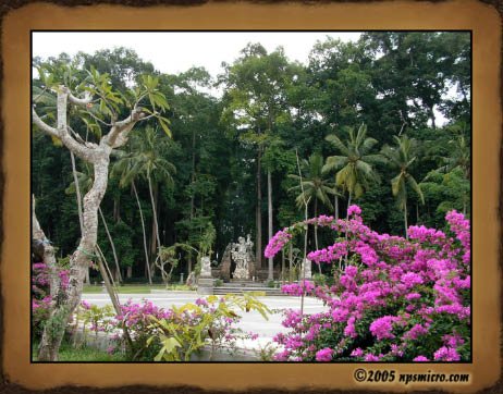 Forêt des singes de Sangeh (2005)